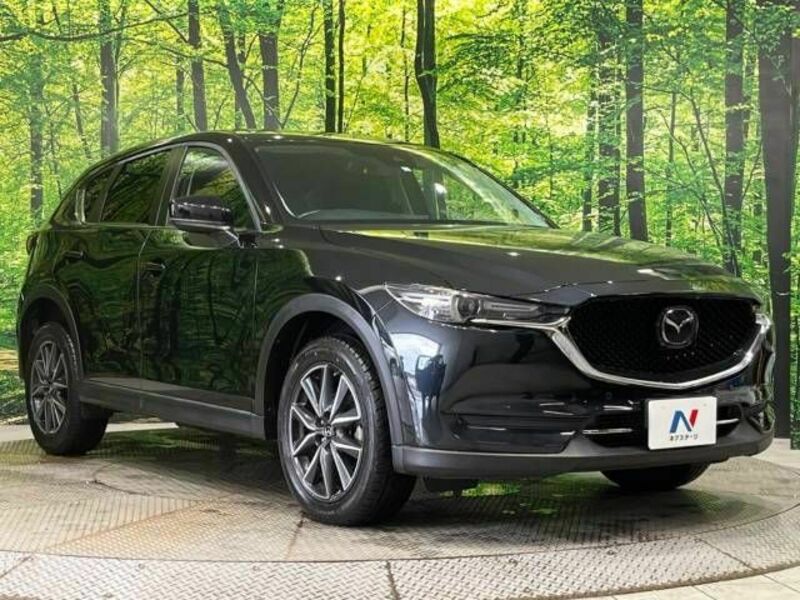 CX-5-16