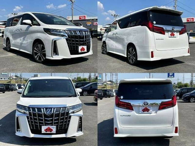 ALPHARD-8