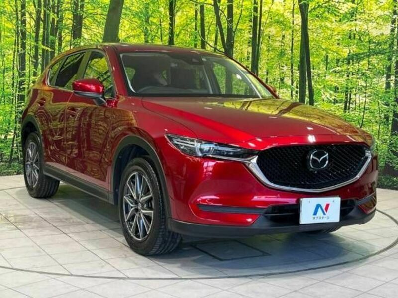 CX-5-17