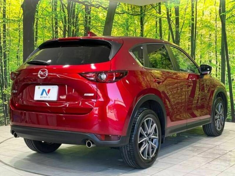 CX-5-18