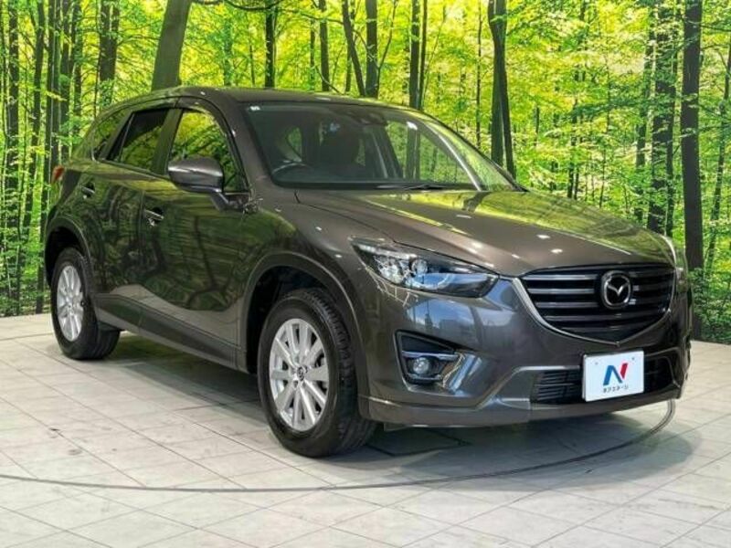 CX-5-17