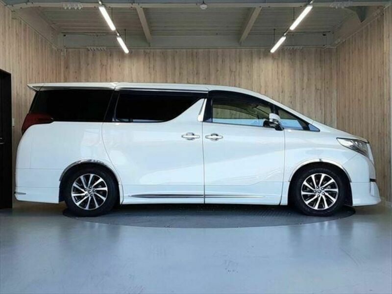 ALPHARD-19