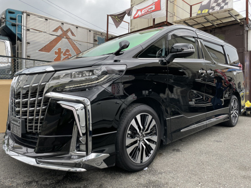 ALPHARD-12