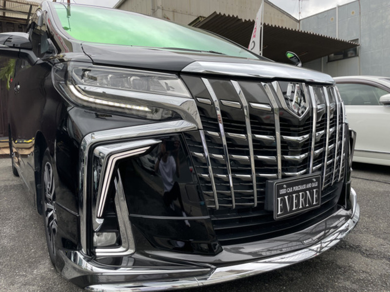 ALPHARD-6