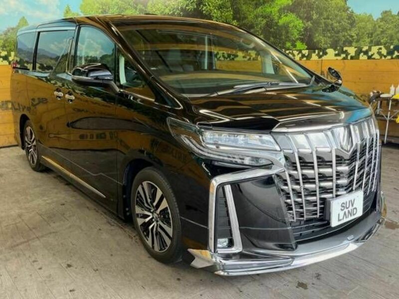 ALPHARD-16