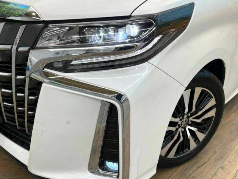 ALPHARD-13