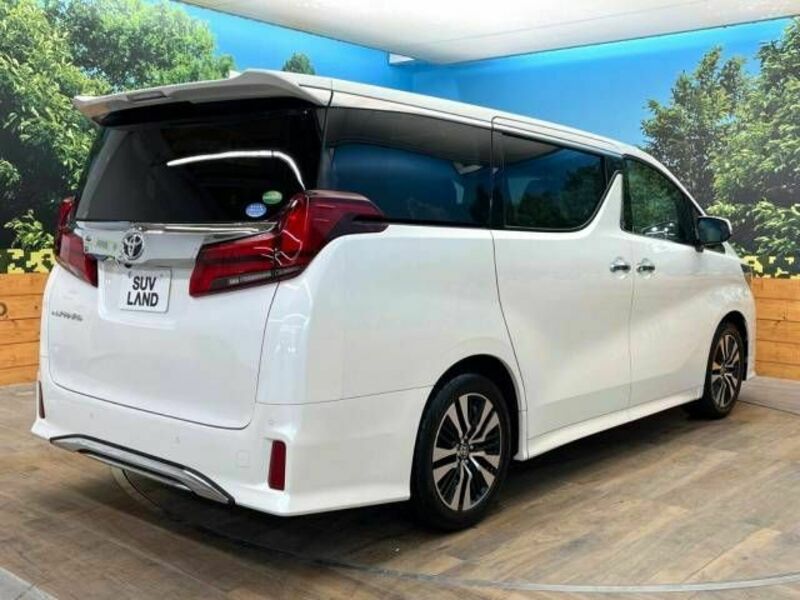 ALPHARD-18