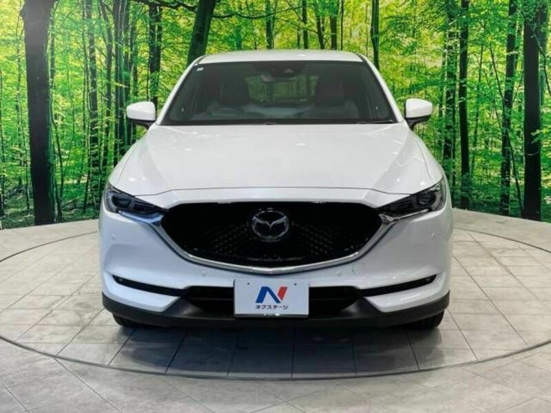 CX-5-16