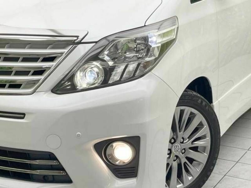 ALPHARD-12