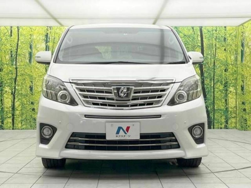 ALPHARD-14