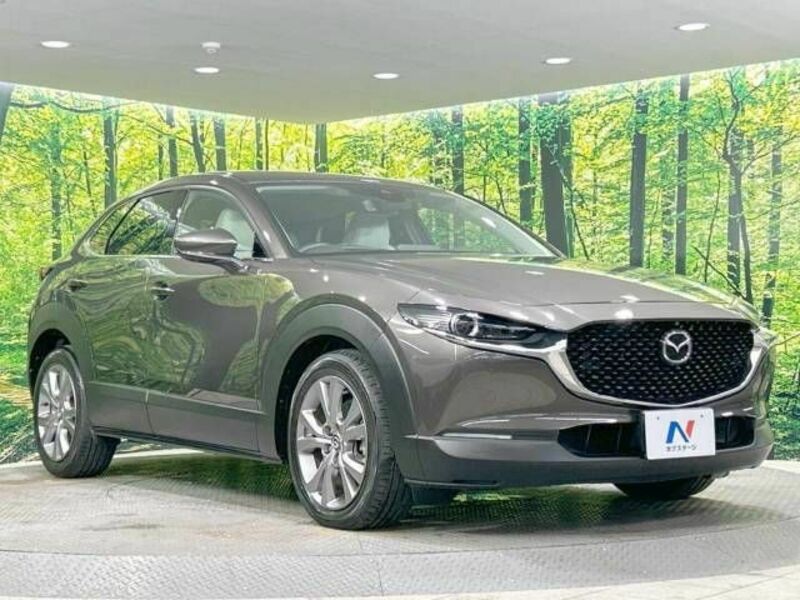 CX-30-16