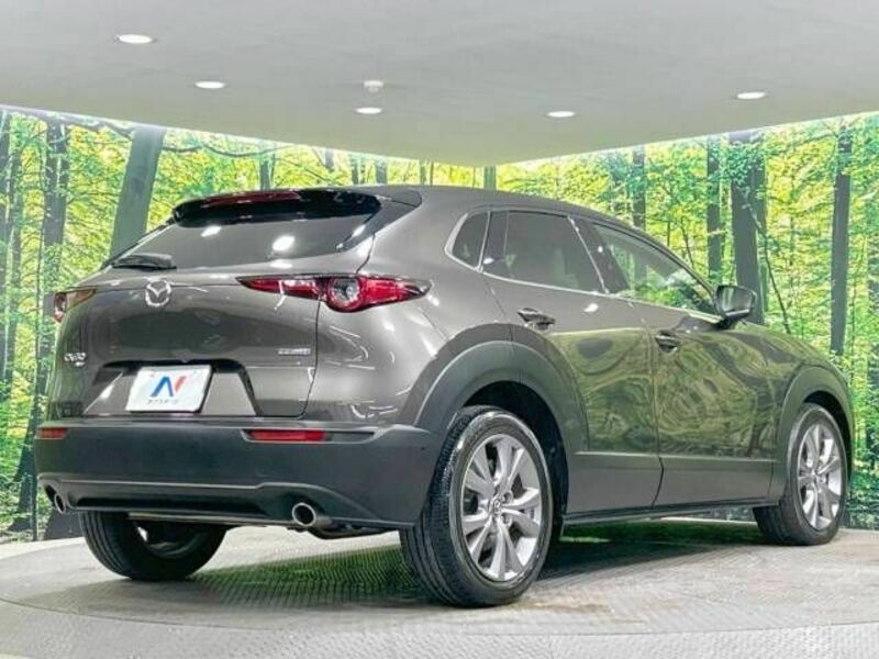 CX-30-17