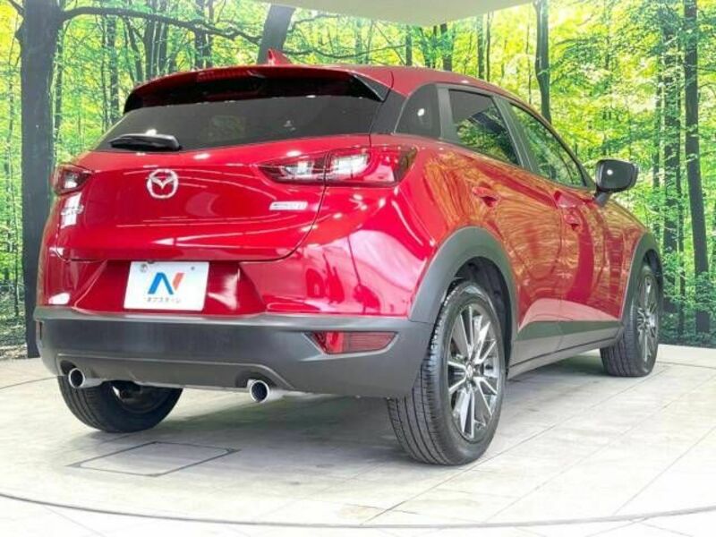 CX-3-17