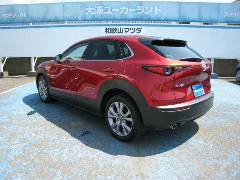 CX-30-2