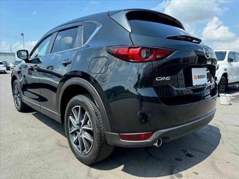 CX-5-12