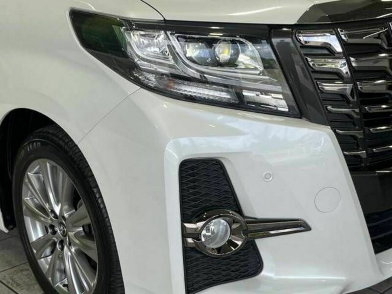 ALPHARD-13