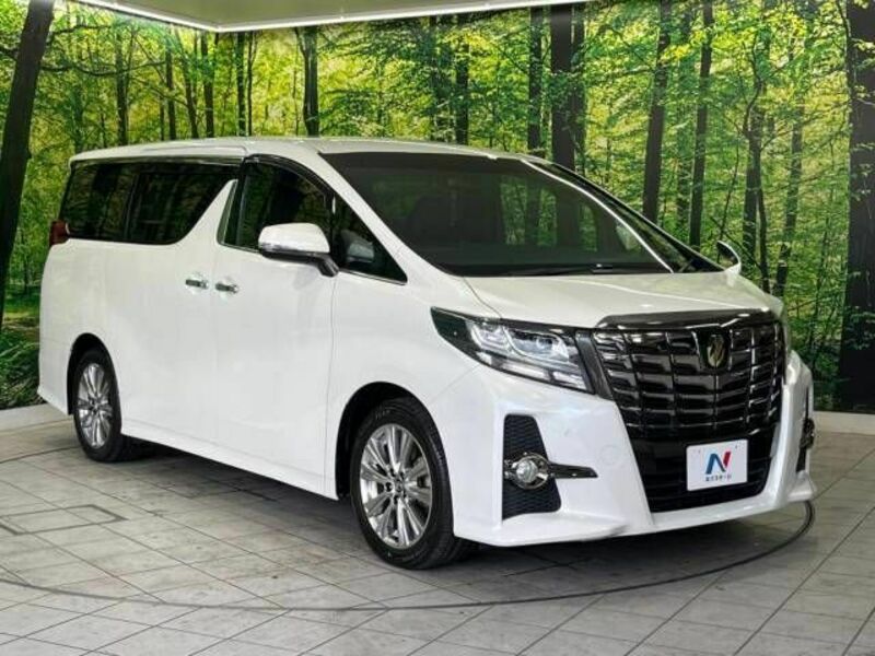 ALPHARD-17