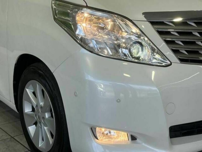 ALPHARD-13