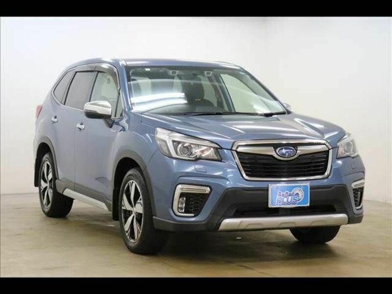 FORESTER-17