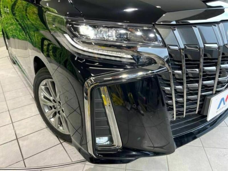 ALPHARD-13