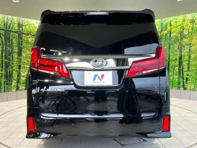 ALPHARD-16