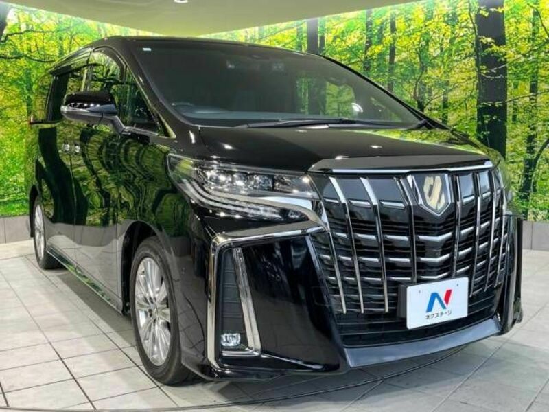 ALPHARD-17