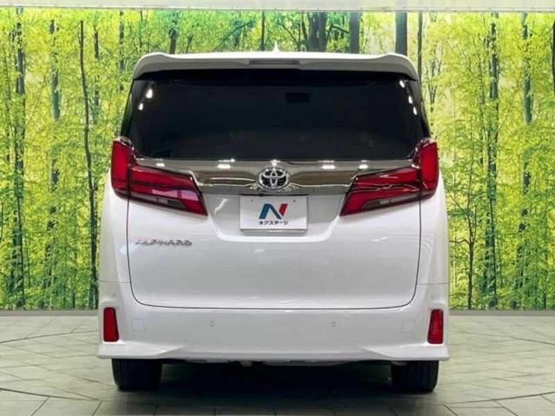 ALPHARD-16