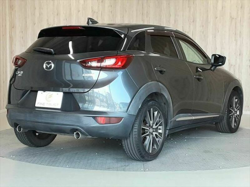 CX-3-19