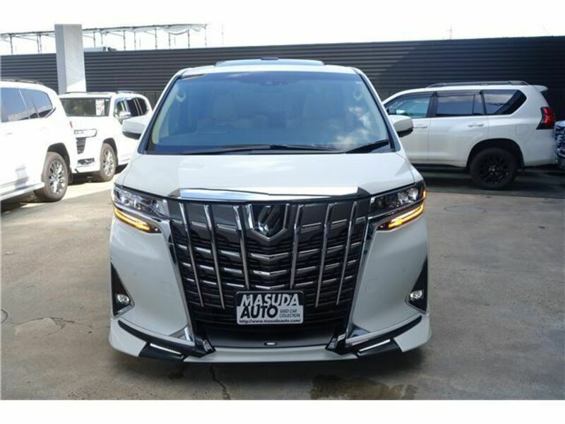 ALPHARD-31