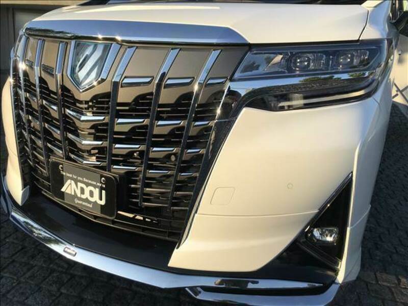 ALPHARD-7