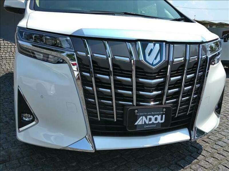 ALPHARD-7