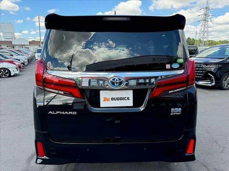 ALPHARD-13