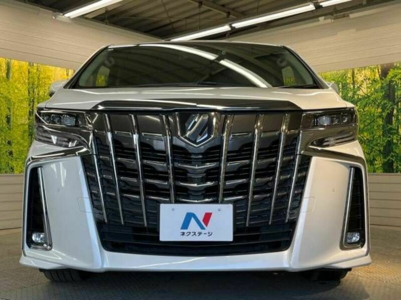 ALPHARD-15