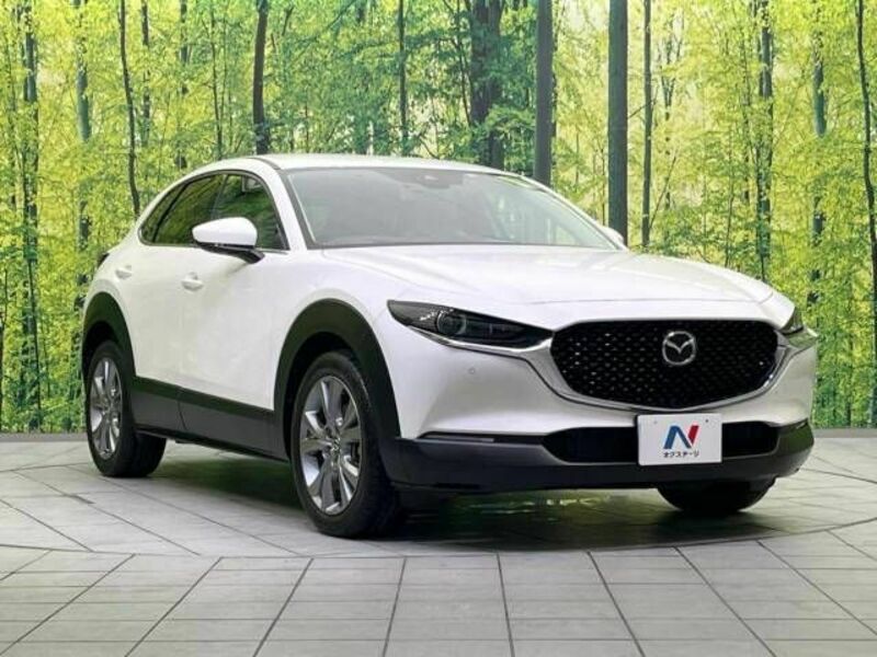 CX-30-15