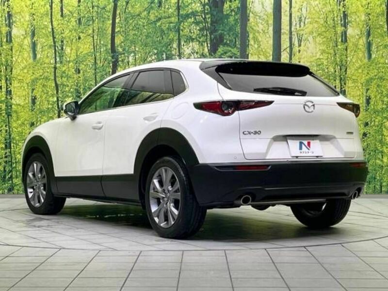 CX-30-16