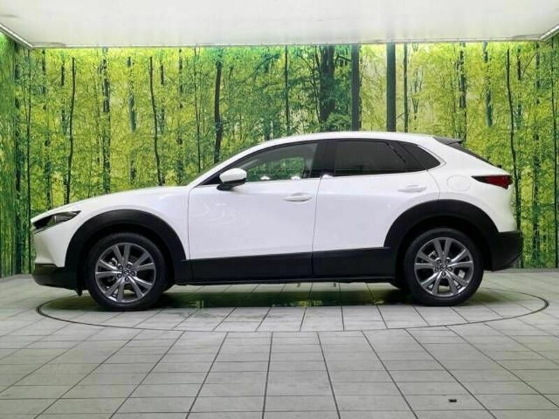 CX-30-19