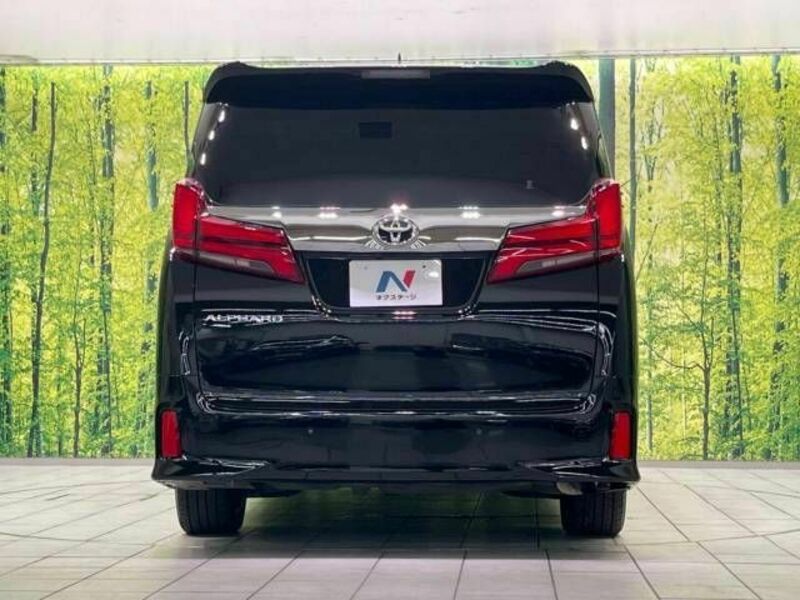 ALPHARD-15