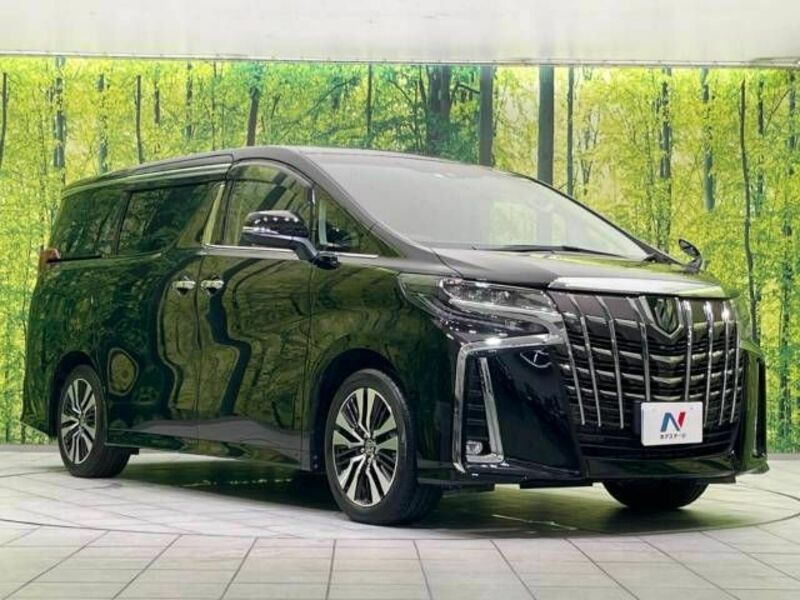 ALPHARD-16