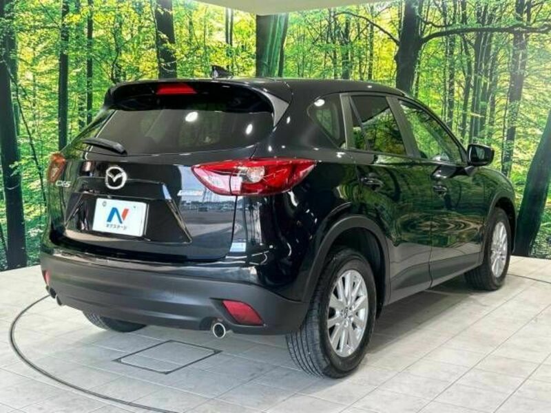 CX-5-17