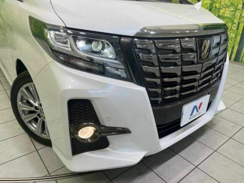 ALPHARD-12