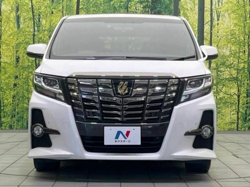 ALPHARD-13