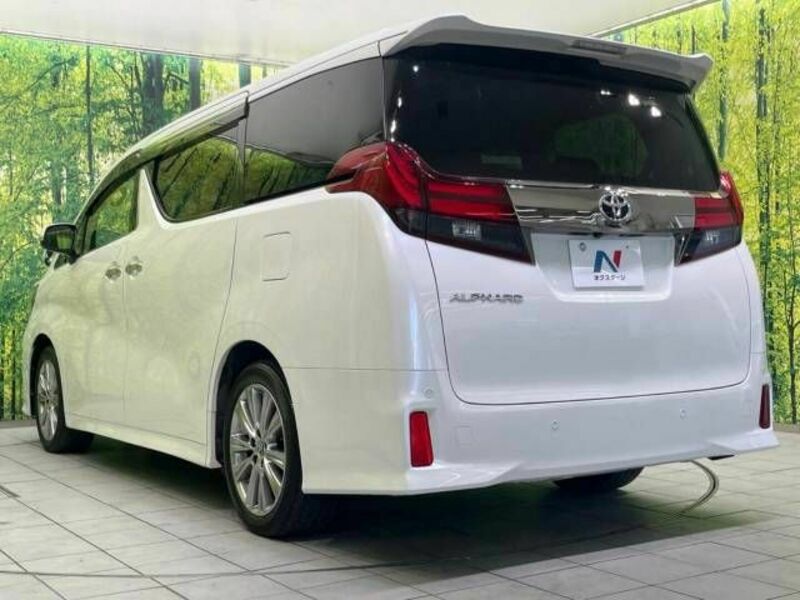 ALPHARD-16