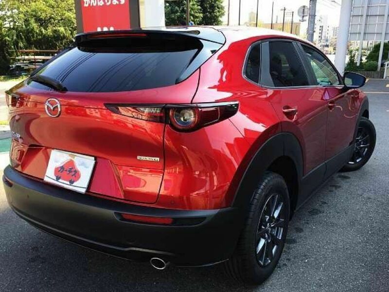 CX-30-2