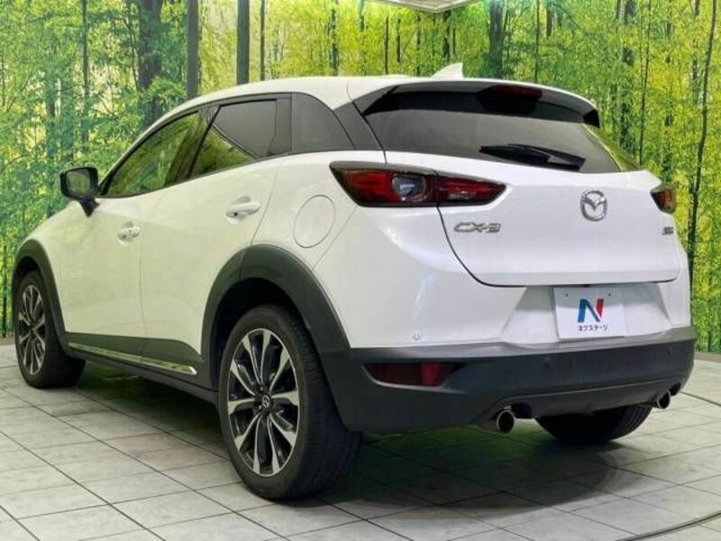 CX-3-17