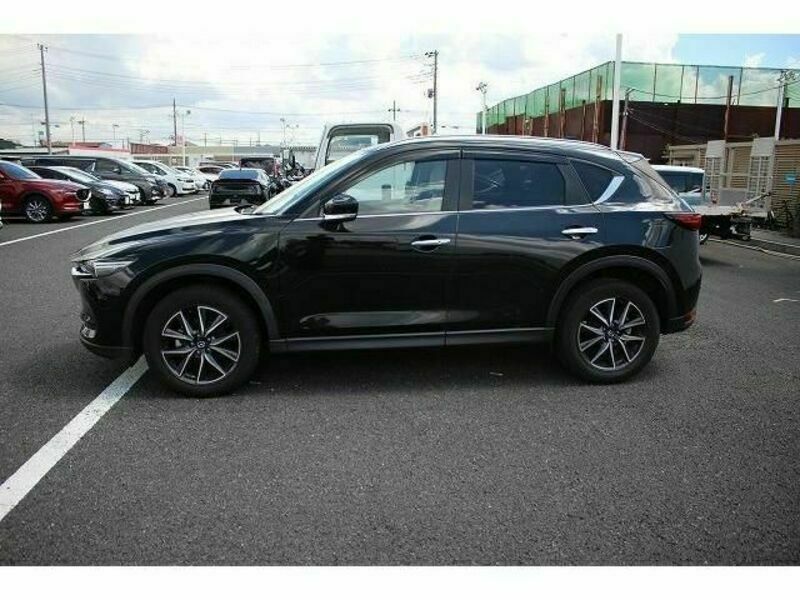 CX-5-8