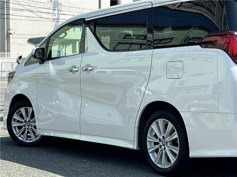 ALPHARD-48