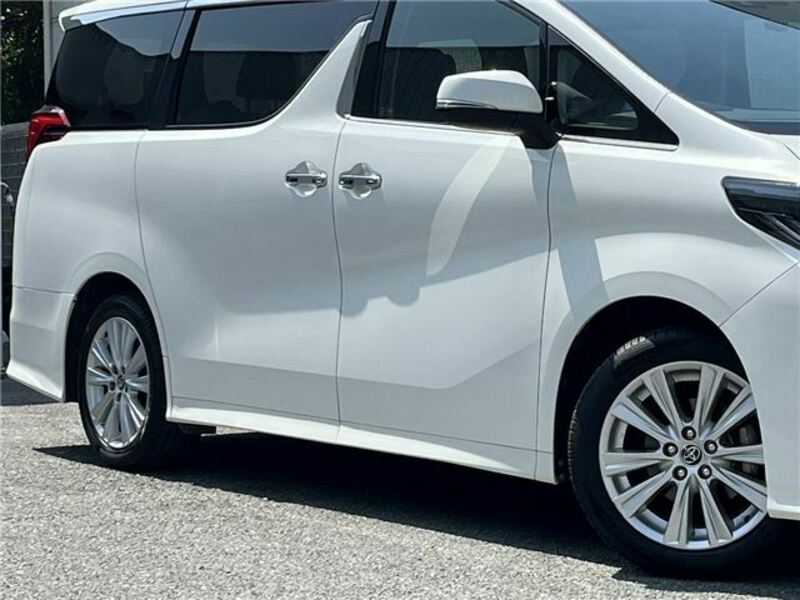 ALPHARD-49