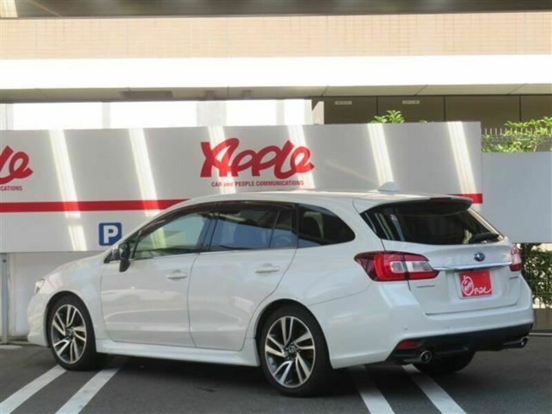 LEVORG-1