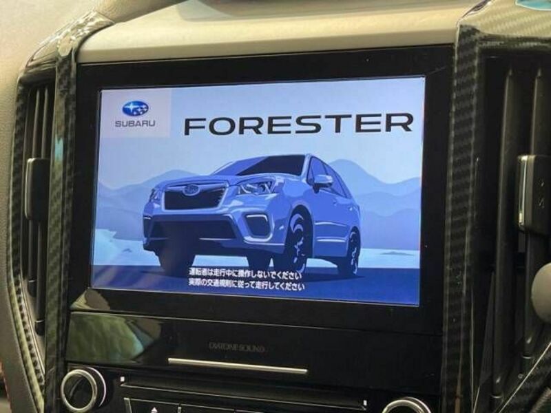 FORESTER-2