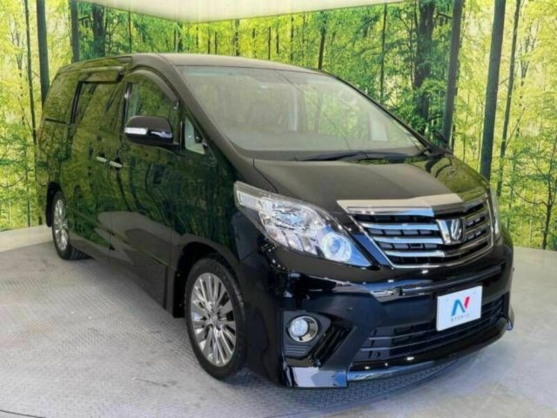 ALPHARD-16